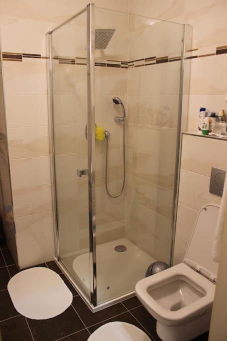 Prague Vysehradska Apartment المظهر الخارجي الصورة